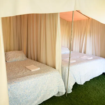Campsite The Place *
