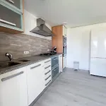 Camping The Place