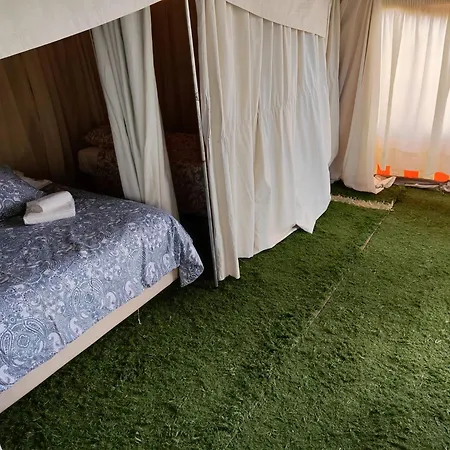 Campsite The Place *